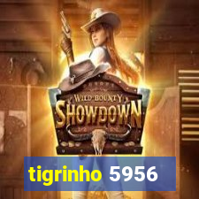 tigrinho 5956